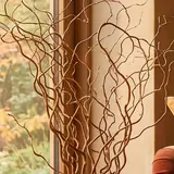 Illustration : Branches de saule séchées, lot de 15 (58 cm)